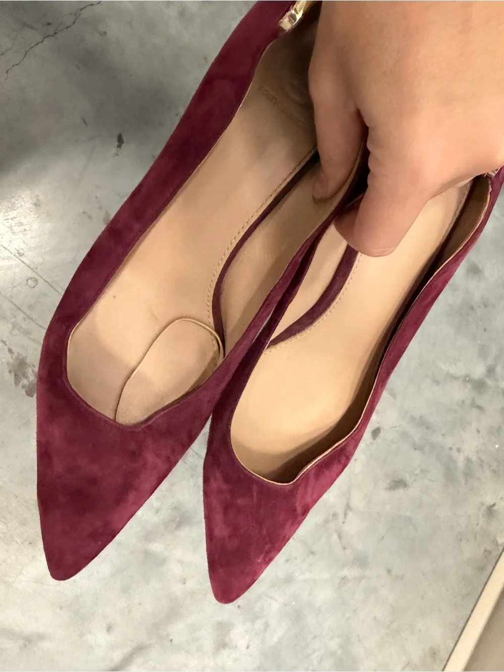 Tory Burch Wine Suede Pointed-Toe Pumps with Gold Accent